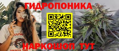 прущие грибы Рыбинск