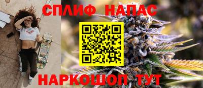 прущие грибы Рыбинск