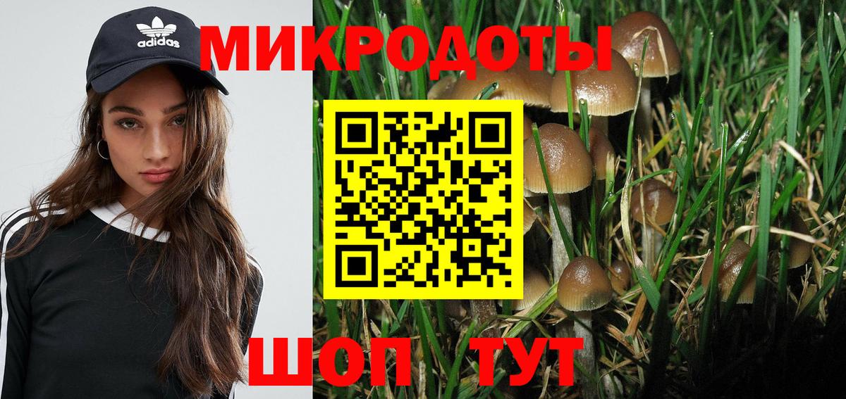 Псилоцибиновые грибы Psilocybine cubensis  Псилоцибиновые грибы Psilocybine cubensis  Вход с VPN  Новотроицк 